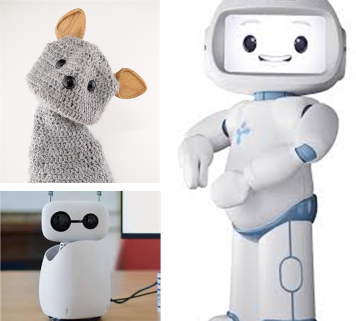 3 robôs usados na atividade, o blossom, o qtrobot e o reachymini